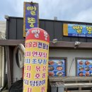 뻘뚱 | 신안 맛집 추천 낙지비빔밥 ‘뻘뚱’