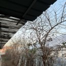 버드모아 | * 경주 동궁원 “버드파크” 아이랑 방문 후기, 새 먹이 주기 체험, 아이랑 가볼 만한 곳 추천