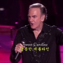 Sweet Caroline - Neil Diamond 이미지