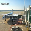 항공로 | NOL로 예약한 몰디브 왕복 항공권 (상하이, 몰디브). 중국동방항공 이용안내 및 탑승후기.