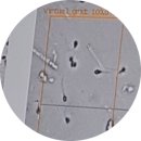 아이사랑의원 이미지