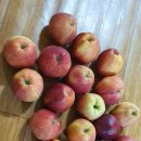 거창-고제-17 이미지