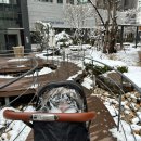 내돈내산 절충형 유모차 듄 :: 신세계백화점 타임스퀘어점