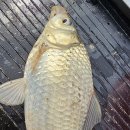 2403 전남 함평 저수지/무안 수로 ㅡㅡㅡ 휴가 1차 이미지