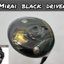 그랑프리 골프존 이미지