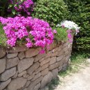 풍수지리학 이미지