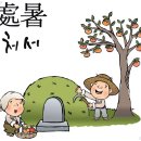 처서 이미지