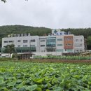 사회복지법인내원 마하재활병원 네이버블로그