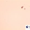 나랑동물병원 이미지