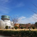 우포늪 광장 이미지