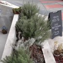 베토벤하우스아카데미 이미지