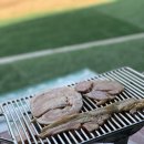 금남멧돼지 이미지