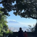 상동읍 약수공원(상동읍-13) | 가고시마 여행 코스::시로야마공원전망대, 센간엔 주차 팁, 잠보모찌 히라타야 후기🍡