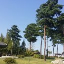 화랑유원지 이미지