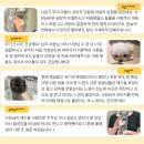 롯데동물메디컬센터 | 부산강아지분양 믿을 수 있는 안심 분양 베스트펫!