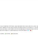 파티가는 댕댕이 이미지