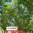 대구서구문화원 이미지