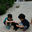 폭포펜션 이미지