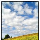 매교역팰루시드공인중개사사무소 이미지