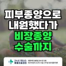 24시 위너스동물의료센터 이미지