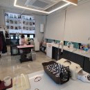 고양이 무마취 미용전문 이미지