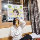 화이트캐빈 | 휘닉스파크 평창 바로 앞 가성비 숙소 화이트캐빈 펜션