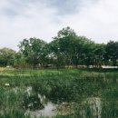 소풍정원3 이미지