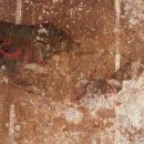 안악축산 이미지