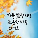 하늘꽃갤러리 네이버블로그