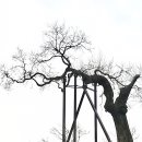 전재울근린공원화장실 이미지