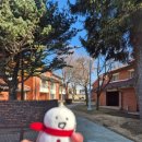 용산기지 옛 미군장교숙소(현 용산공원) 이미지