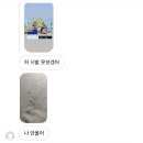 🇳🇿뉴질랜드 워홀+3,4,5) 오클랜드 하윅(Howick)에서 단기 플랫 구하다!(사이클론으로 인해 방콕했던 4...