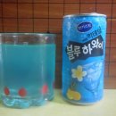 블루하와이 이미지