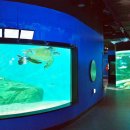 동해종합카 이미지