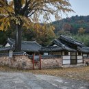 어계인 | [경상남도 함안군] 어계생가 - 전 견종 가능 · 맹견 입마개 · 목줄 착용 · 배변봉투 지참