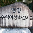 선바위(분재전시관) 이미지