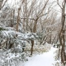 어우렁국수 이미지