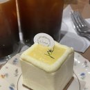 김밥캠프 - 밀양시 삼문중앙로 45 | 김밥캠프