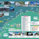 바다부채길1 이미지