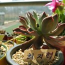 이리동산초등학교 이미지