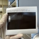 국립축산과학원 난지축산연구소 이미지