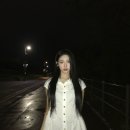 신위 카카오 검색결과