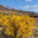 황금수퍼 - 북구 동문대로 102 | 황금수퍼