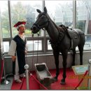 버스정류장 07-752 이미지