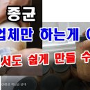 느타리버섯 종균 가정에서도 쉽게 만들 수 있어요.(느타리버섯 재배를 위한 종균 직접 만들기. 종균 배양, 종균 접종., 버섯 배지 만들 이미지