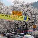 용연사길 이미지