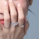 뉴퍼펙트 이미지