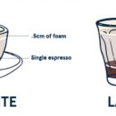 커피화이트컵 이미지