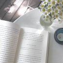 도토리살롱 이미지