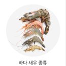 대하 닭새우 꽃새우 등 새우의 종류와 효능 및 새우 손질법 이미지